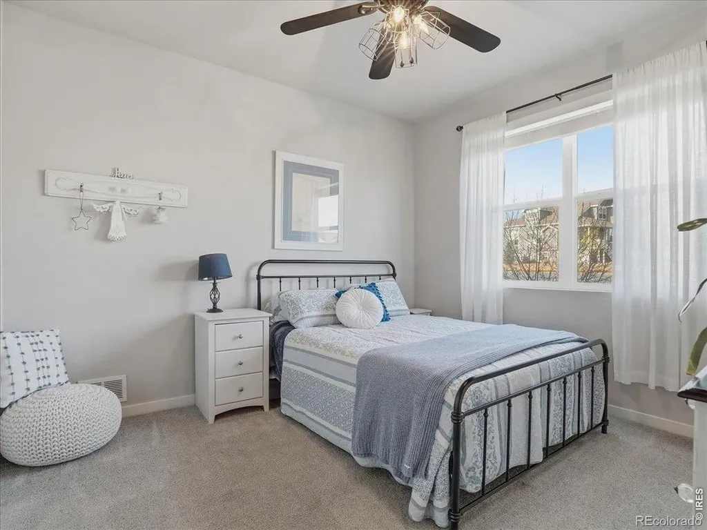1229 Argali Drive Severance CO 80550
