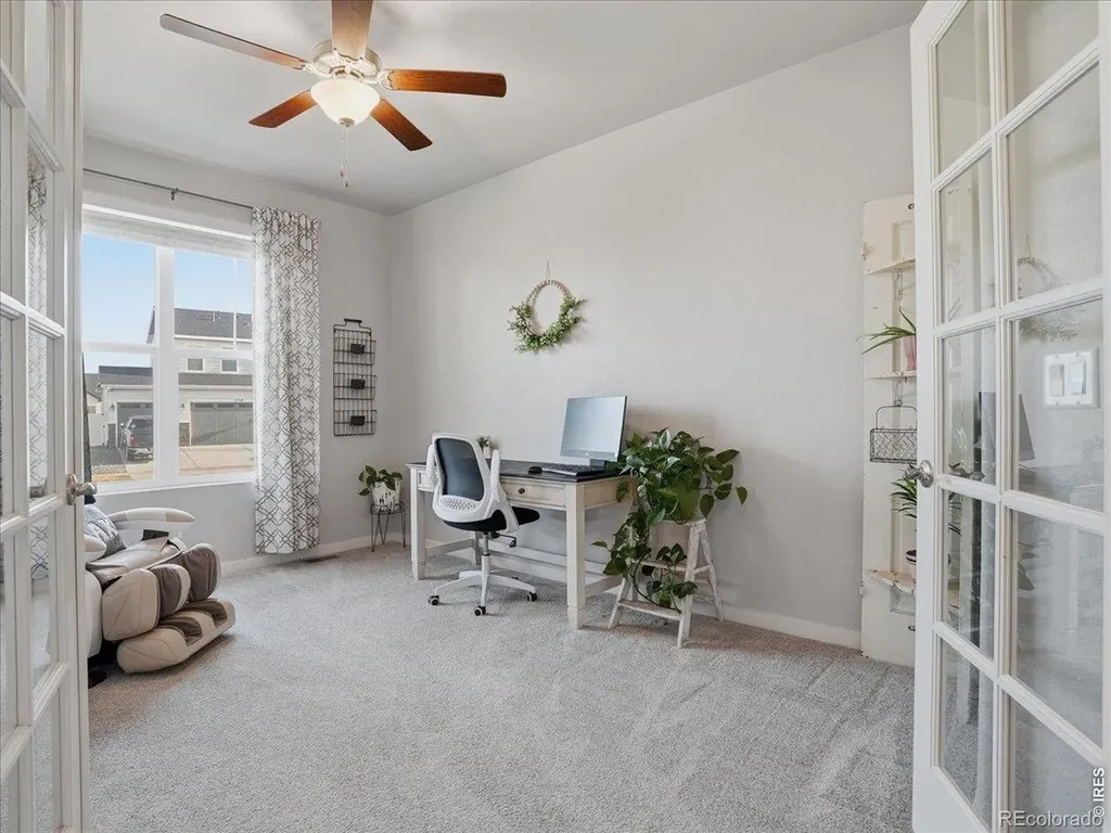 1229 Argali Drive Severance CO 80550