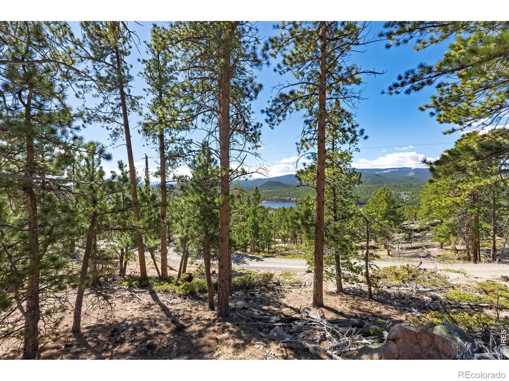 70 Nambe Court Red Feather Lakes CO 80545
