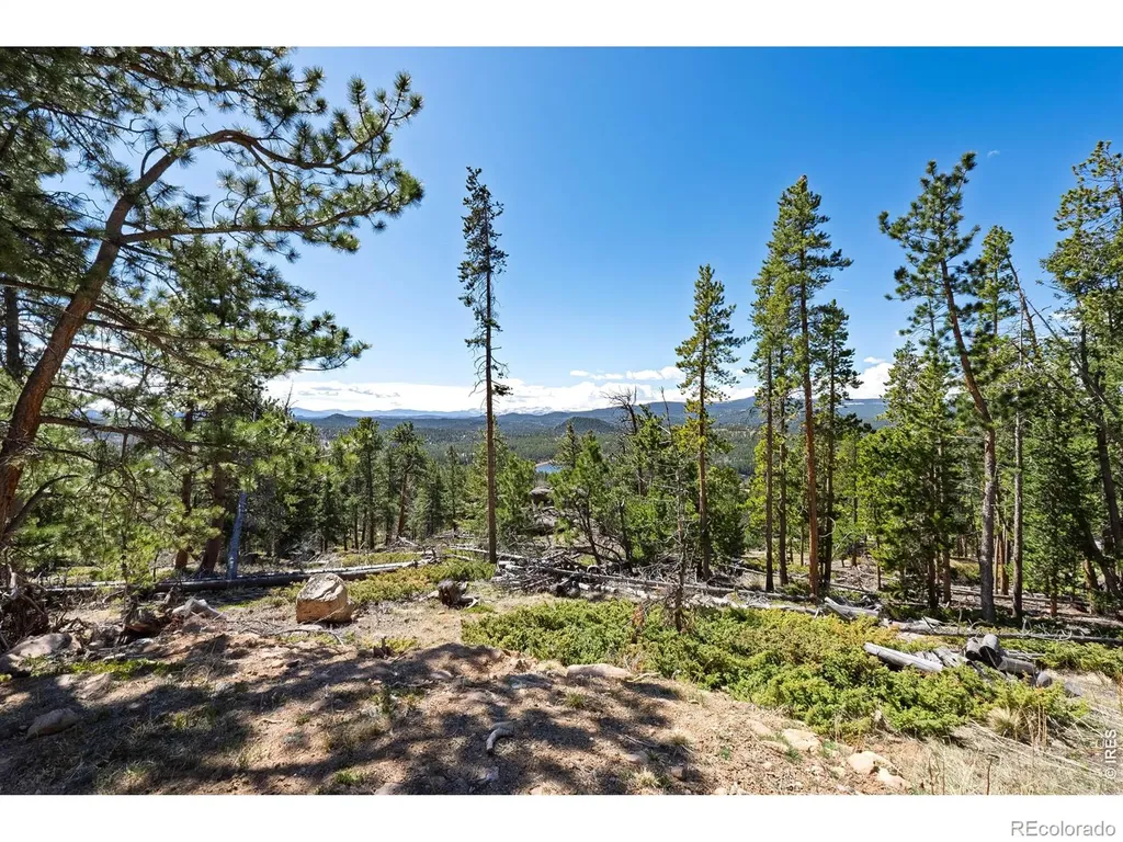 70 Nambe Court Red Feather Lakes CO 80545