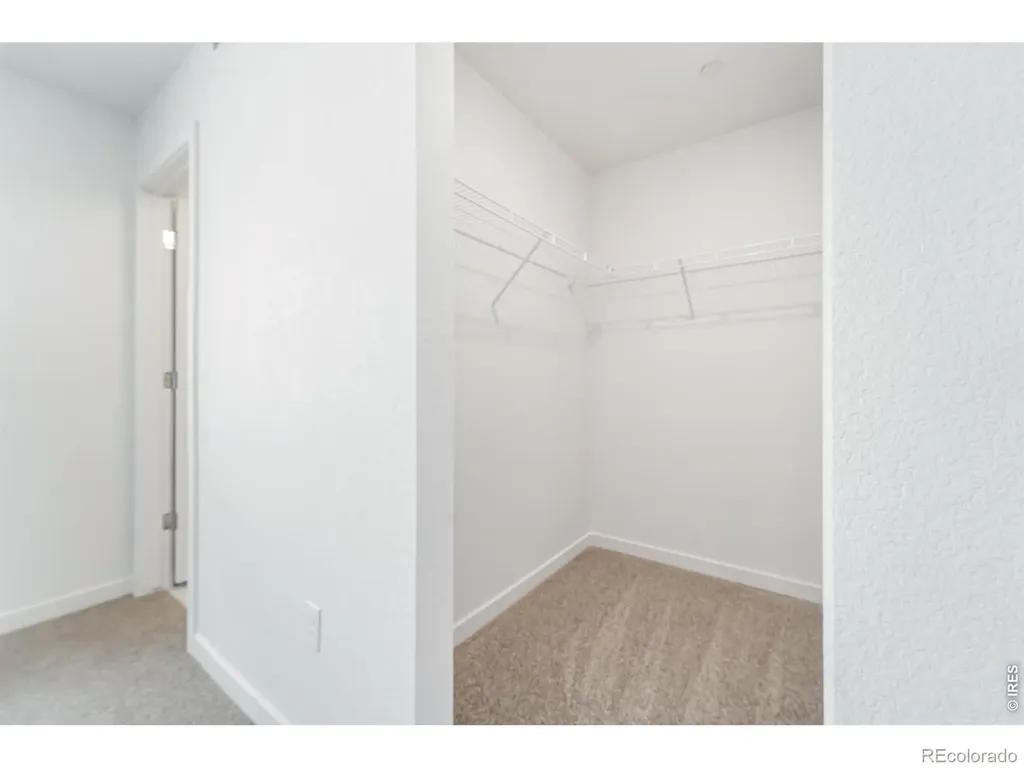 3913 Net Street Evans CO 80620