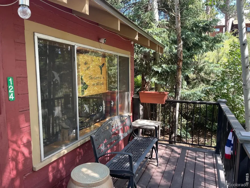 124 Ski Road Allenspark CO 80510