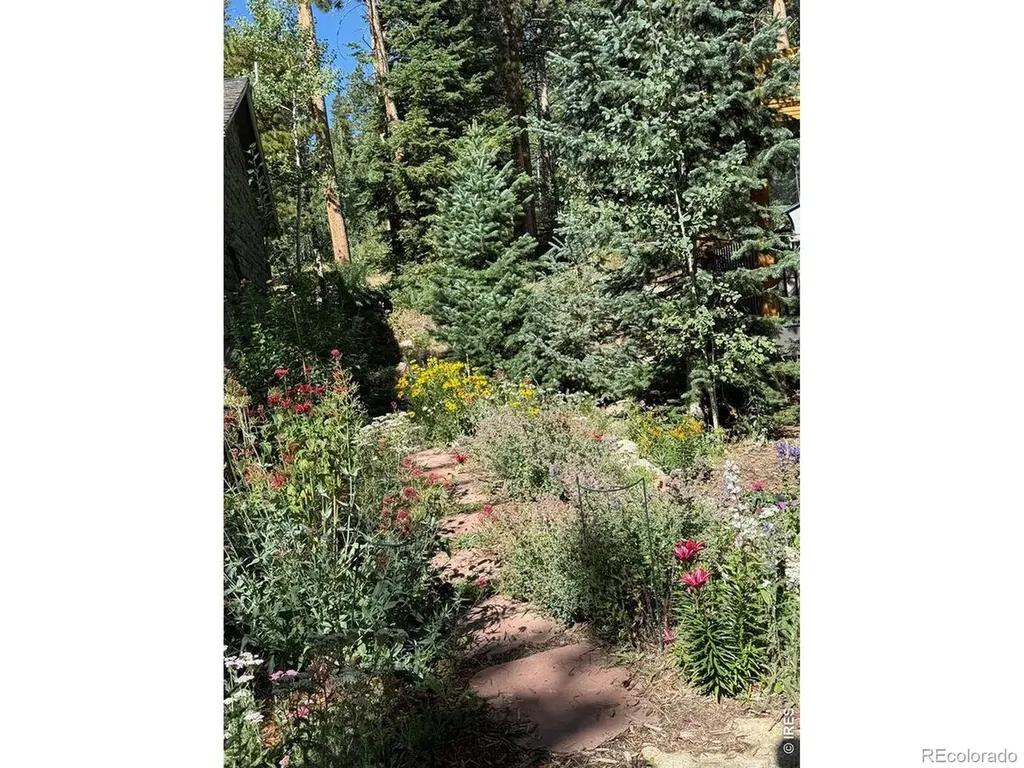 124 Ski Road Allenspark CO 80510
