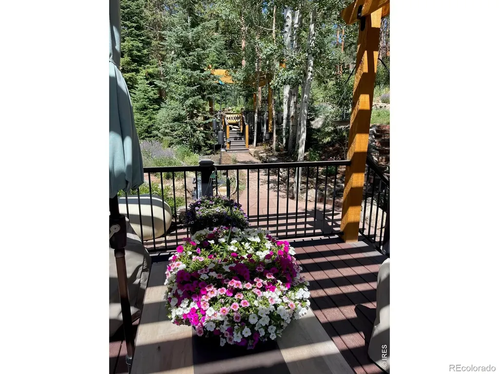 124 Ski Road Allenspark CO 80510
