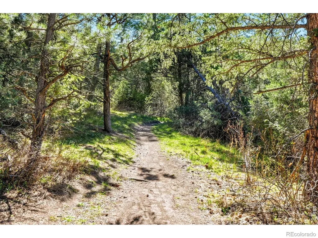 5 Mohawk Road Lyons CO 80540