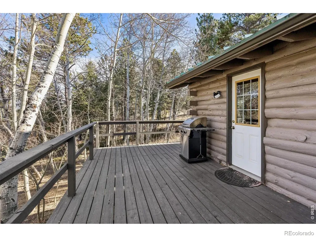 150 Mount Fisher Court Livermore CO 80536