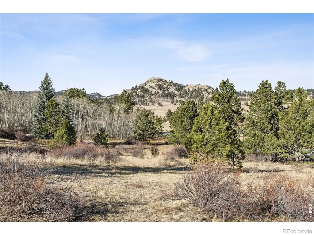 150 Mount Fisher Court Livermore CO 80536