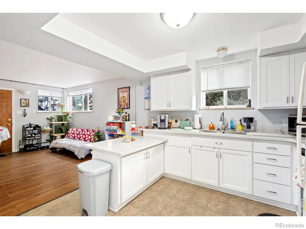 1009 Mchugh Street Fort Collins CO 80524