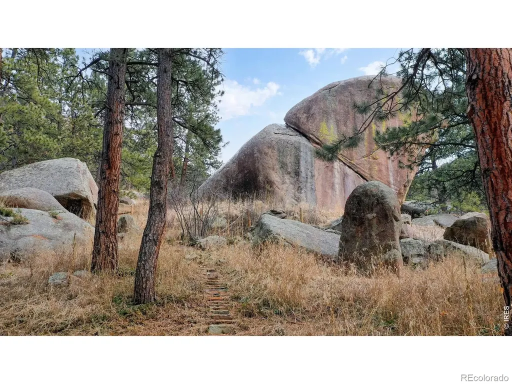 14142 N Saint Vrain Drive Lyons CO 80540