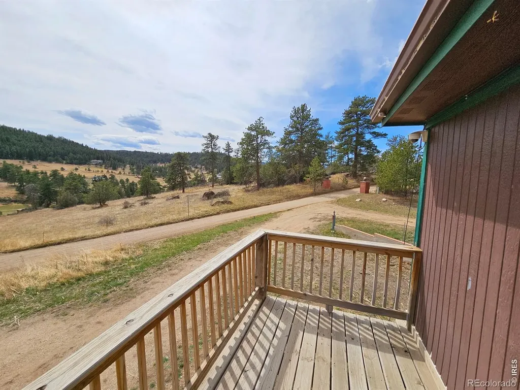 291 Palisade Mountain Drive Drake CO 80515