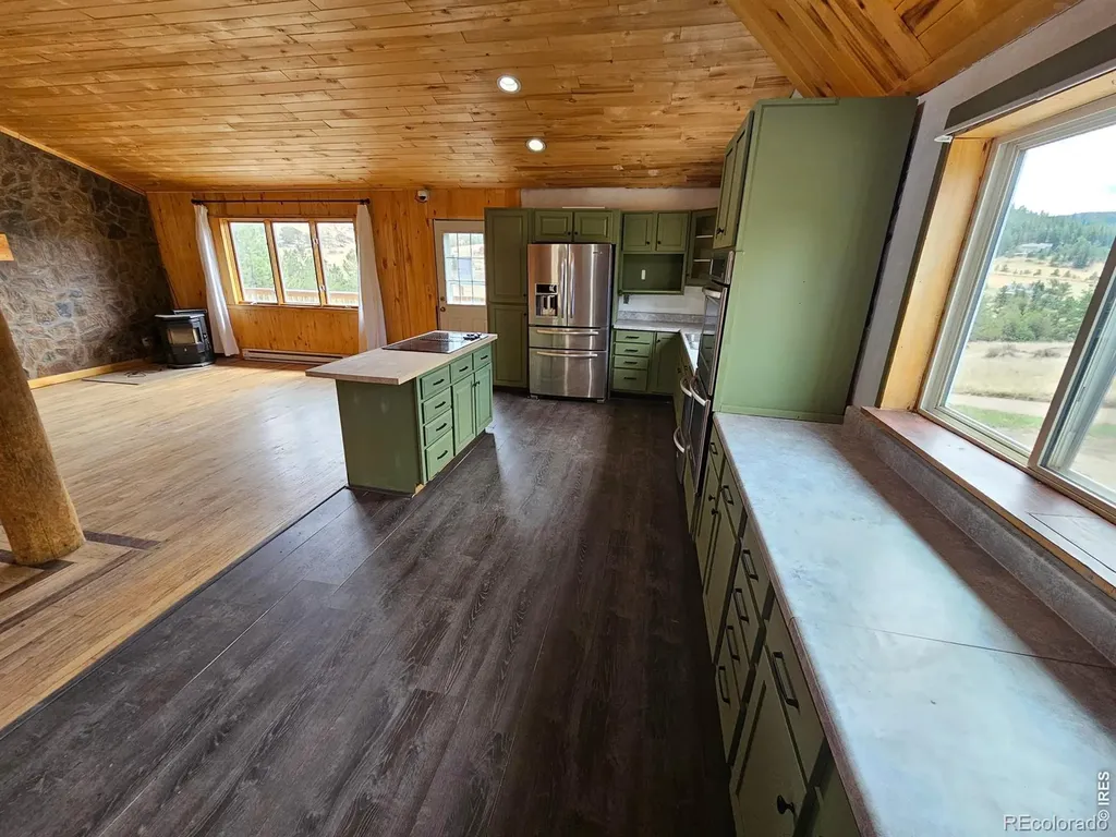 291 Palisade Mountain Drive Drake CO 80515