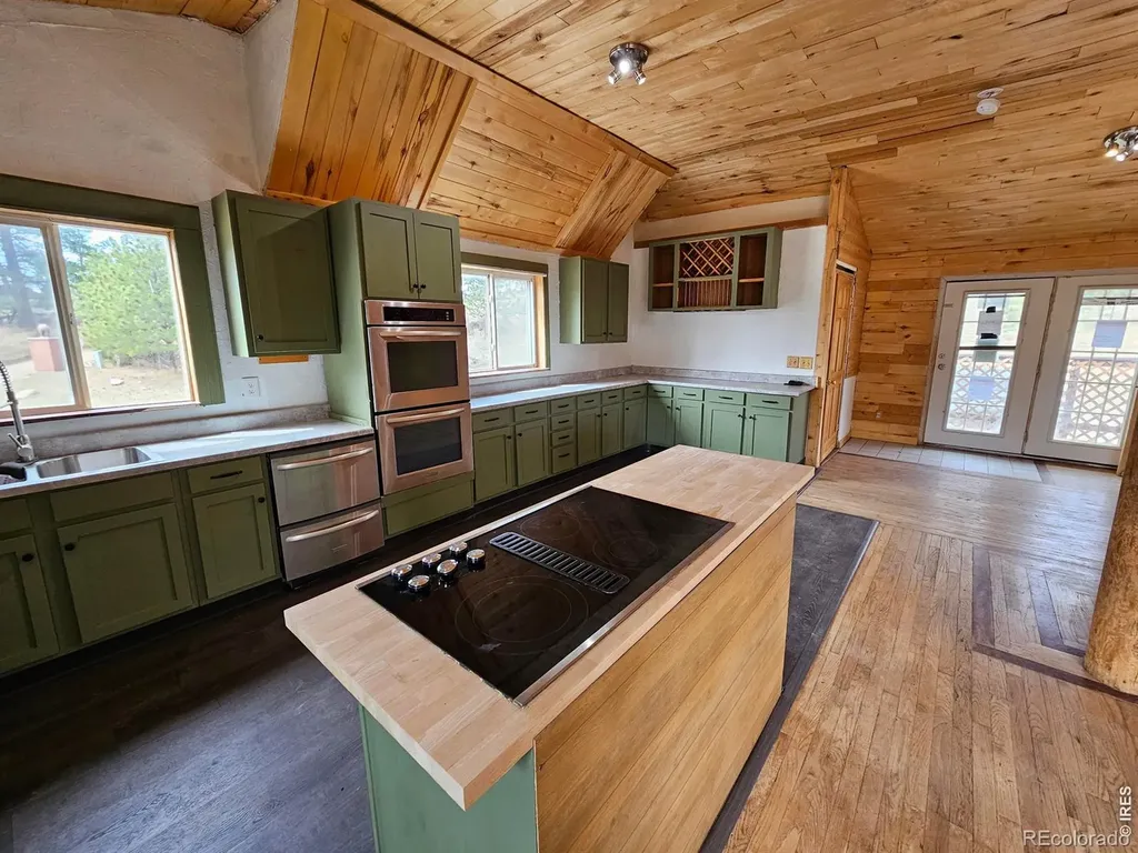 291 Palisade Mountain Drive Drake CO 80515