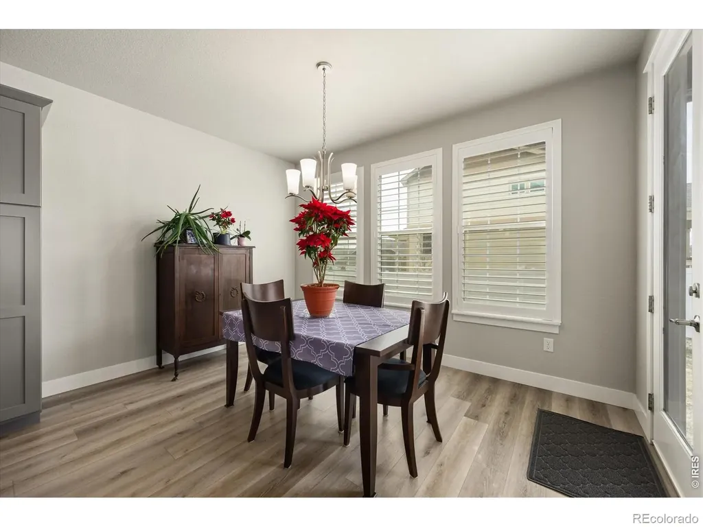 479 Mt Belford Drive Severance CO 80550