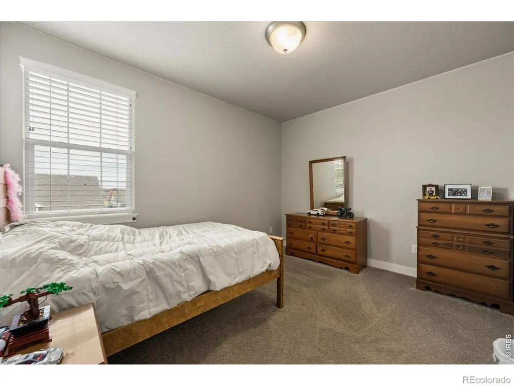 479 Mt Belford Drive Severance CO 80550