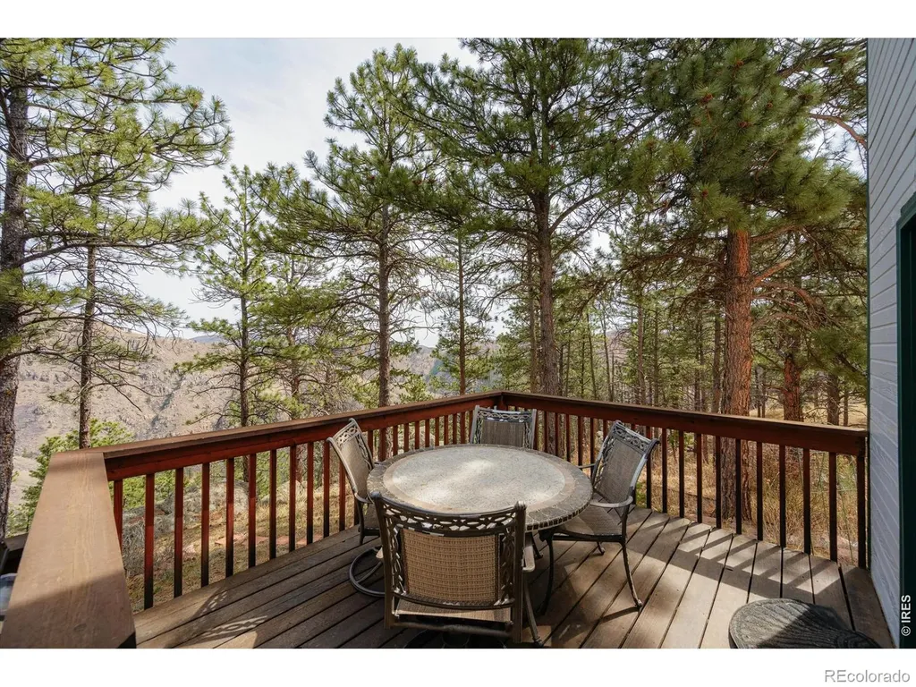842 Unger Mountain Road Bellvue CO 80512