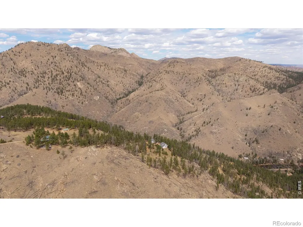 842 Unger Mountain Road Bellvue CO 80512