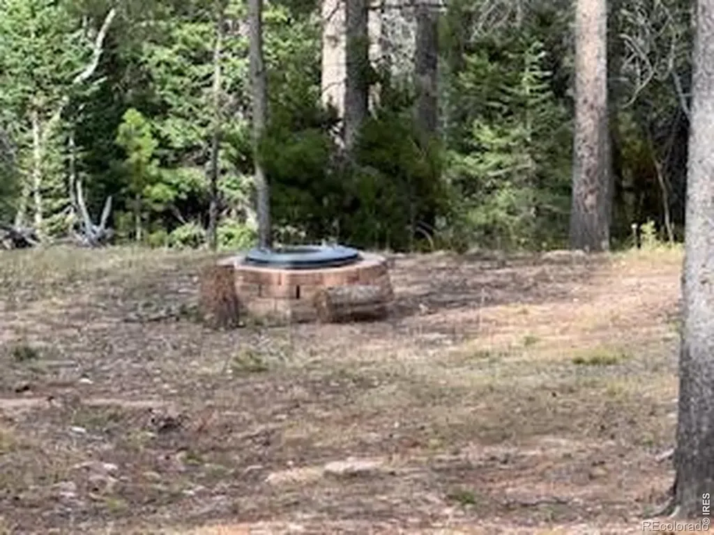 2581 Shoshoni Drive Red Feather Lakes CO 80545