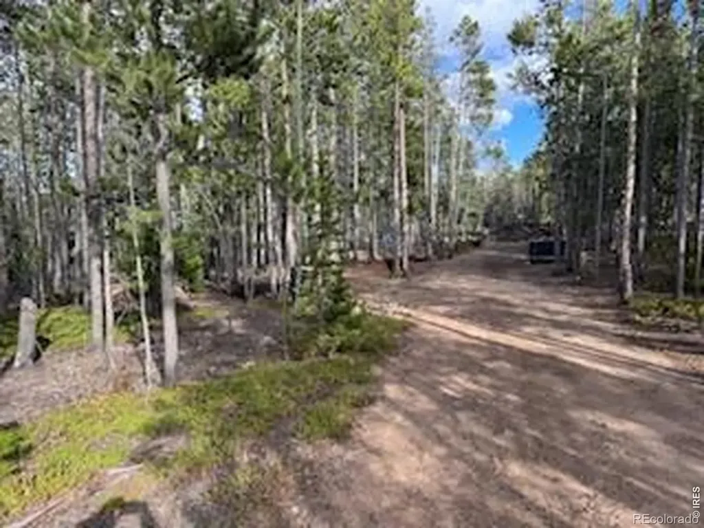 2581 Shoshoni Drive Red Feather Lakes CO 80545