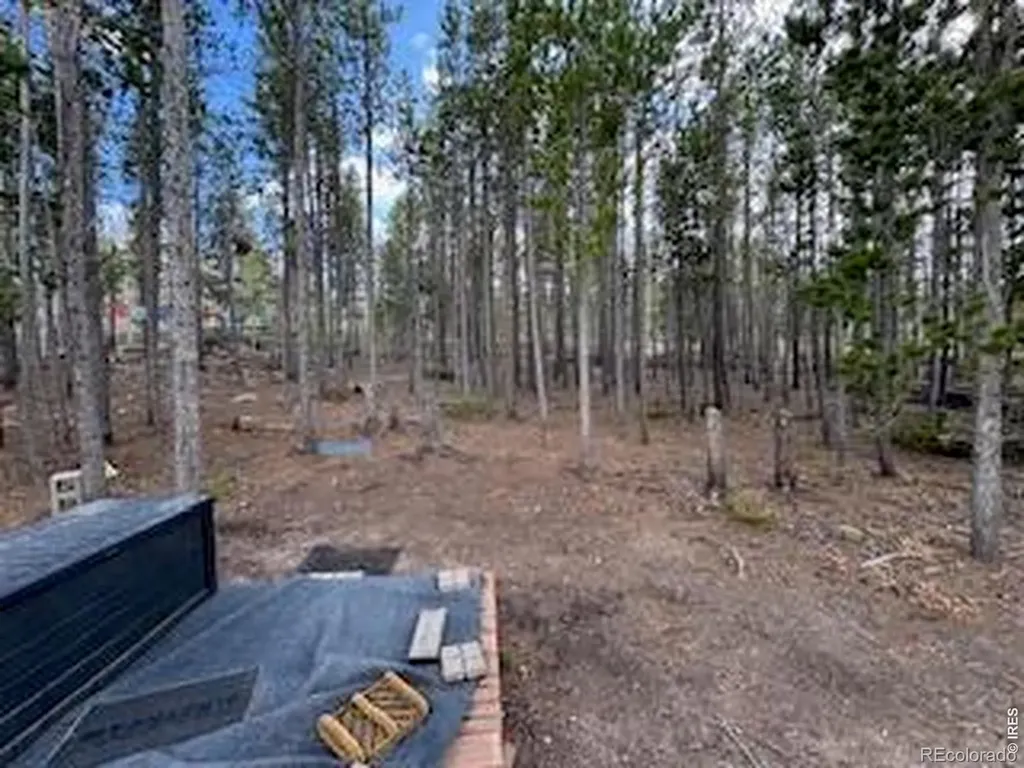 2581 Shoshoni Drive Red Feather Lakes CO 80545