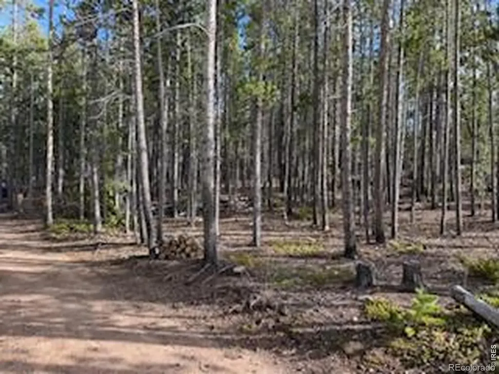 2581 Shoshoni Drive Red Feather Lakes CO 80545