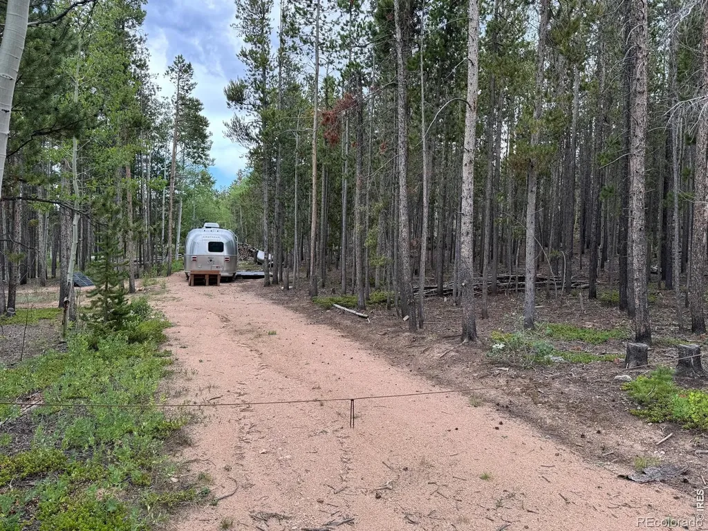 2581 Shoshoni Drive Red Feather Lakes CO 80545