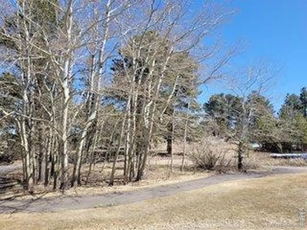 1001 Fox Acres Drive E Red Feather Lakes CO 80545