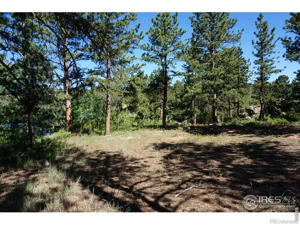 1001 Fox Acres Drive E Red Feather Lakes CO 80545