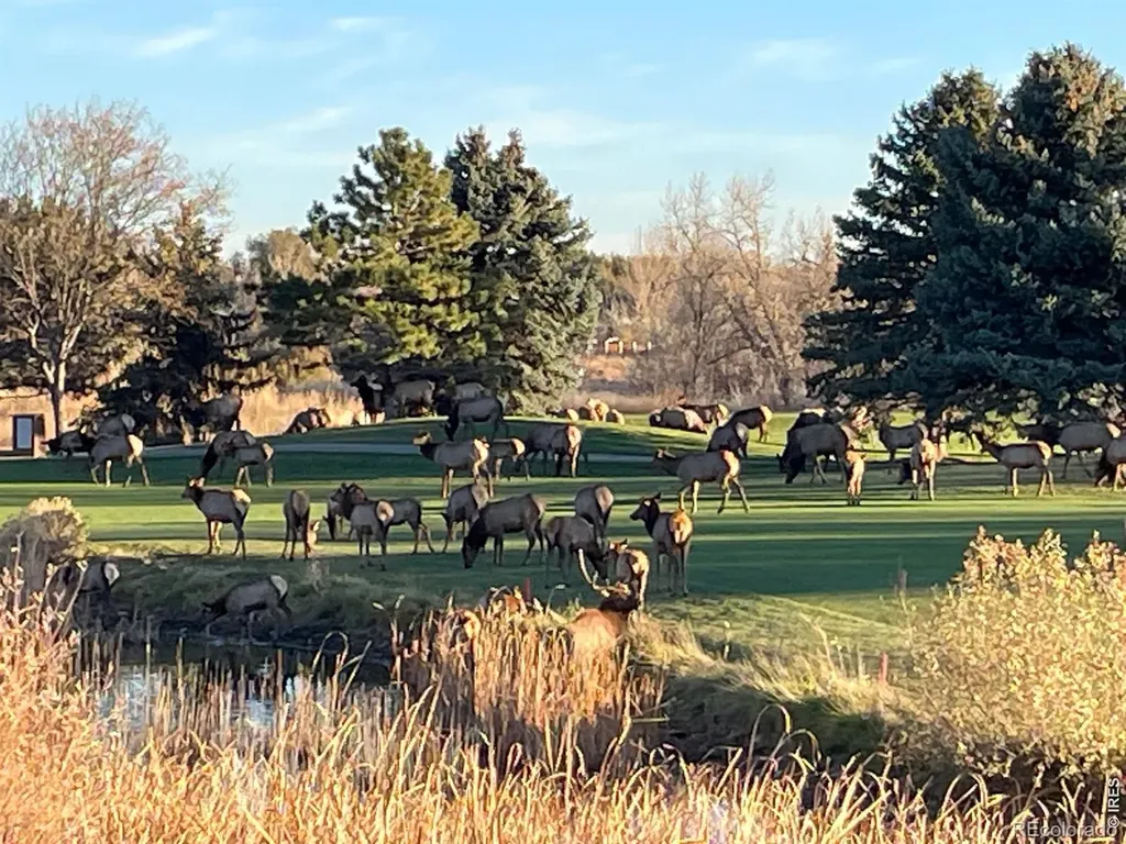 4339 Golf Vista Drive Loveland CO 80537