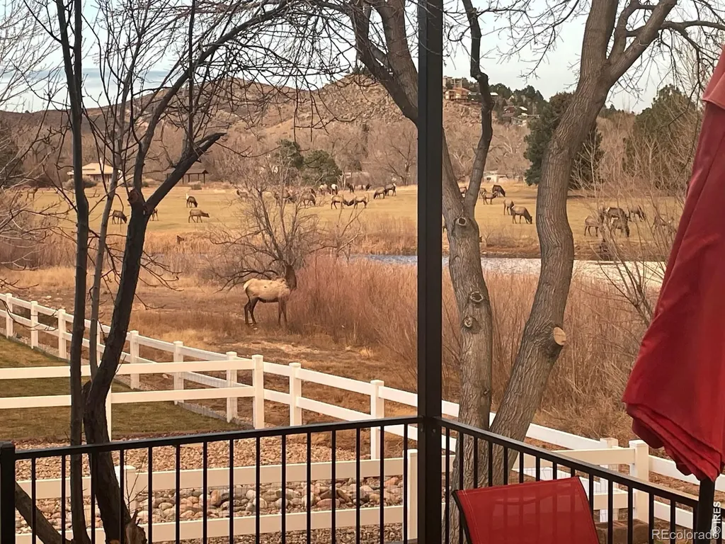 4339 Golf Vista Drive Loveland CO 80537
