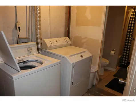 1005 Glacier Court Windsor CO 80550