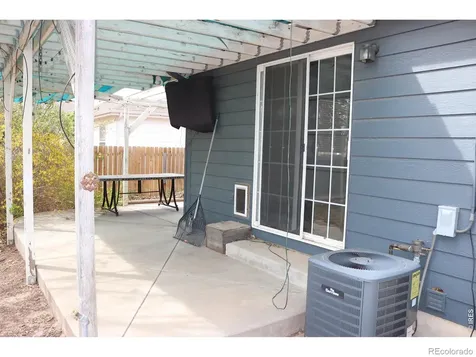 1005 Glacier Court Windsor CO 80550