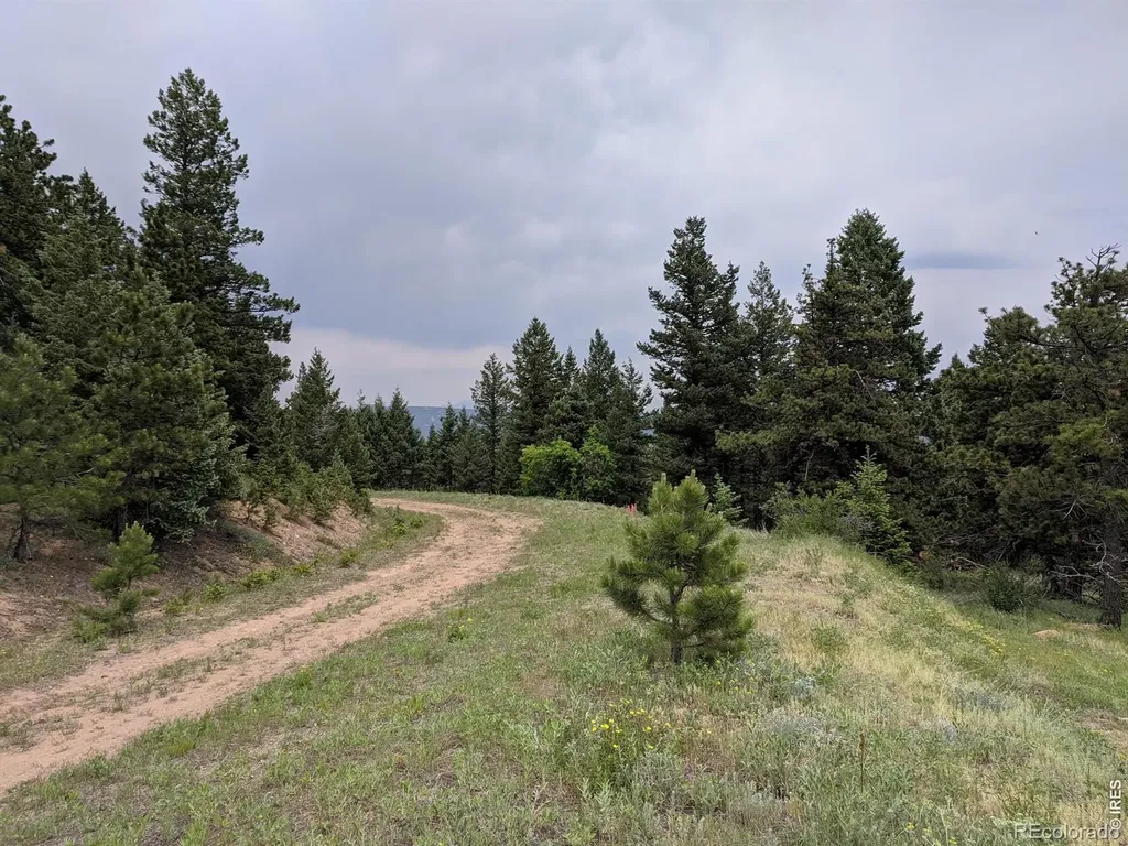 1312 Chute Road Golden CO 80403