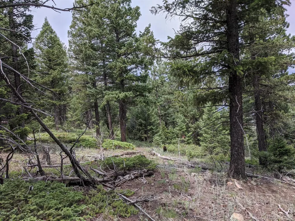 1312 Chute Road Golden CO 80403