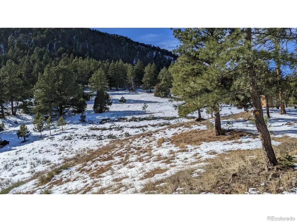 1312 Chute Road Golden CO 80403