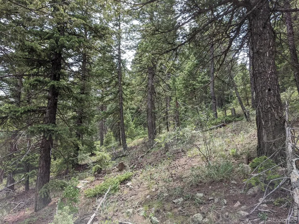 1312 Chute Road Golden CO 80403