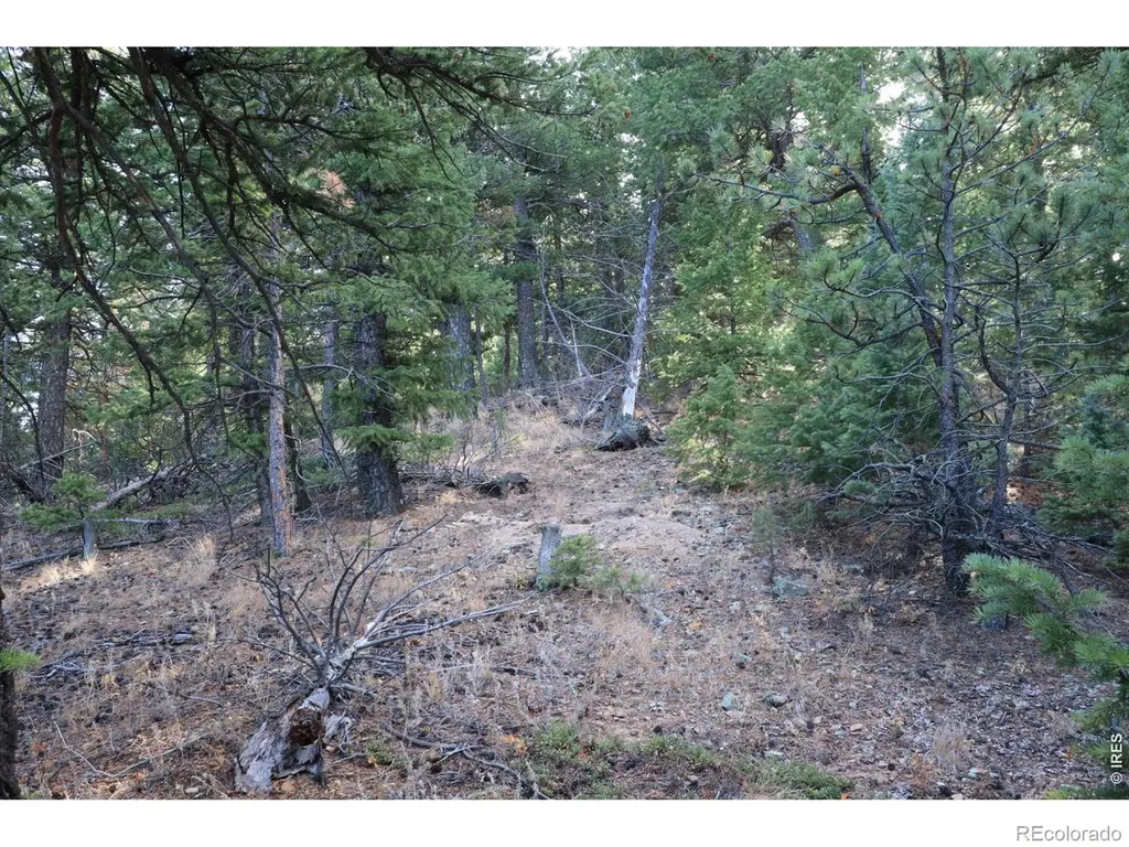 1312 Chute Road Golden CO 80403