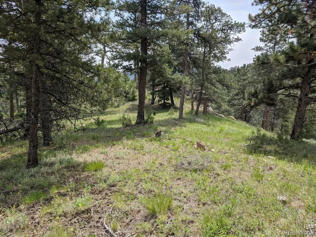1312 Chute Road Golden CO 80403