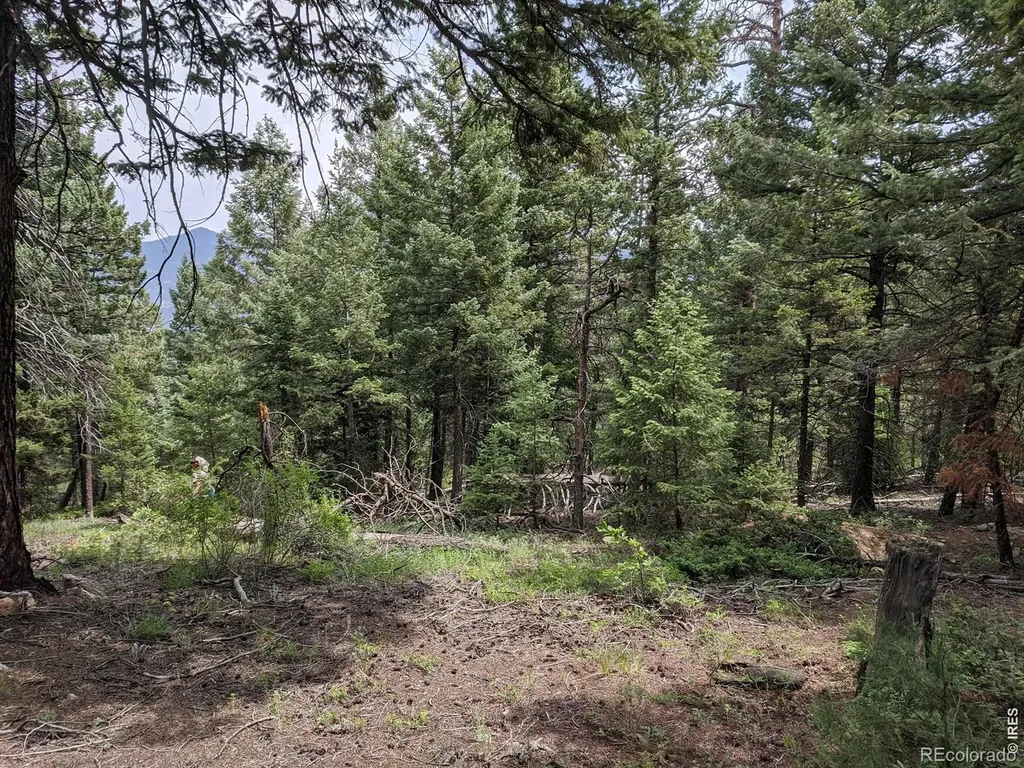 1312 Chute Road Golden CO 80403