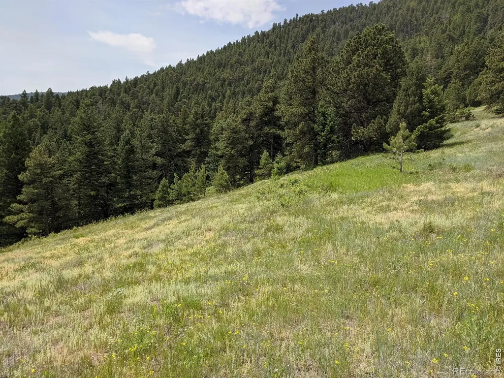 1312 Chute Road Golden CO 80403