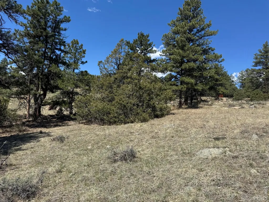 565 Le Conte Drive Livermore CO 80536