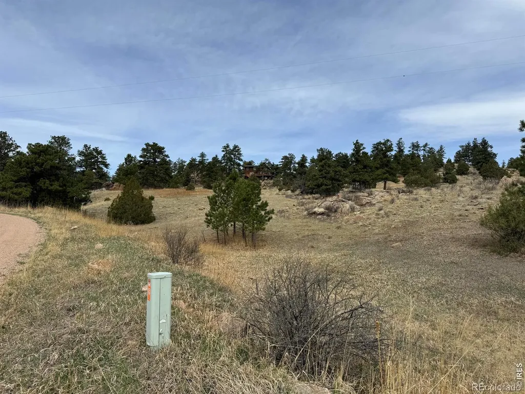 565 Le Conte Drive Livermore CO 80536