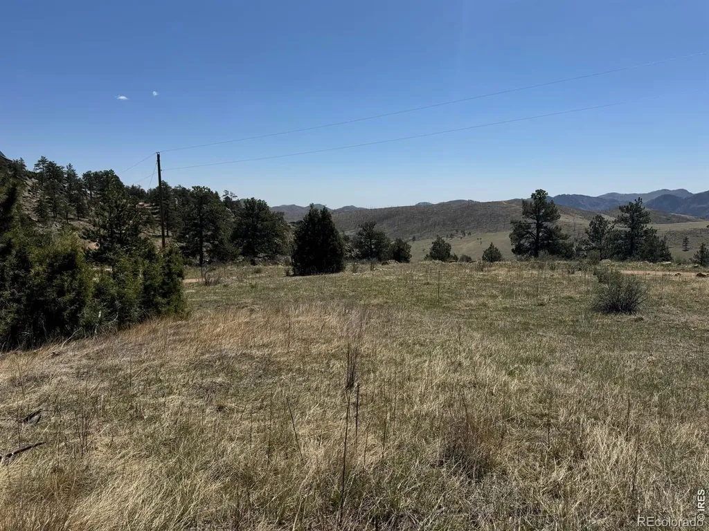 565 Le Conte Drive Livermore CO 80536