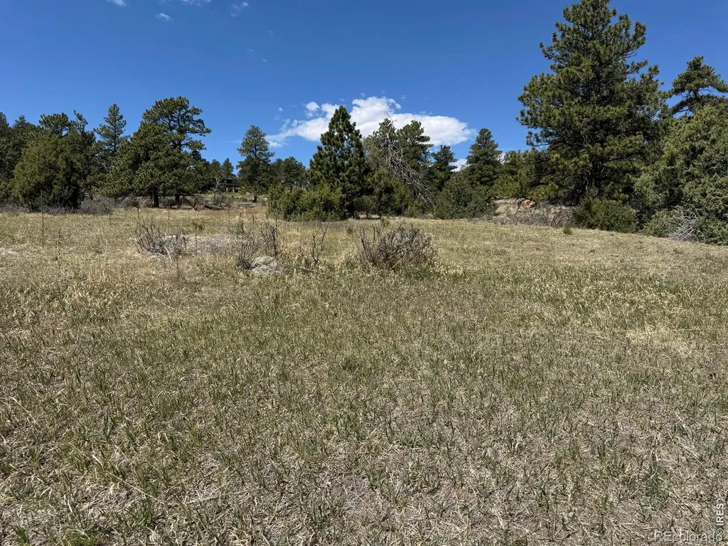 565 Le Conte Drive Livermore CO 80536