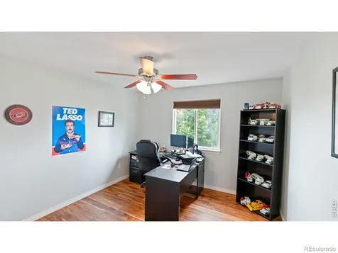633 Shoshone Court Windsor CO 80550