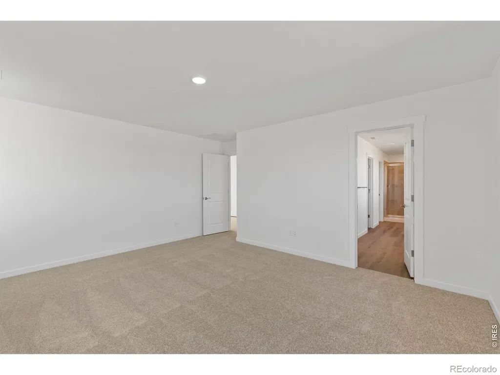 1448 Boyle Street Windsor CO 80550