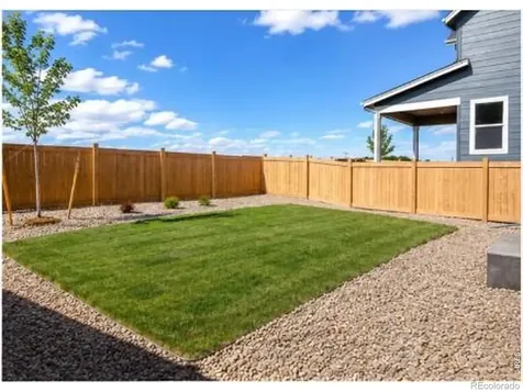 1448 Boyle Street Windsor CO 80550
