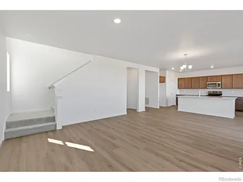 1448 Boyle Street Windsor CO 80550