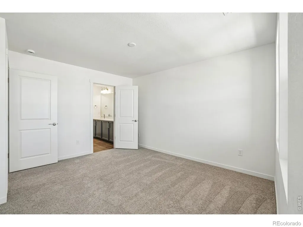 4516 Burl Street Timnath CO 80547