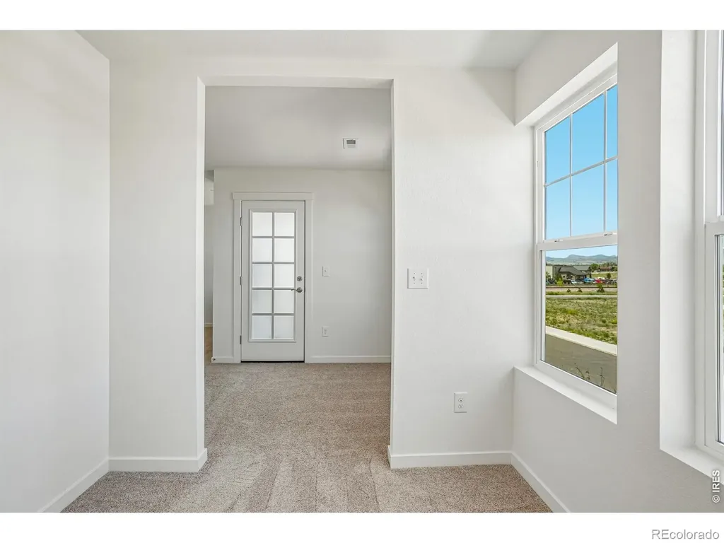 4516 Burl Street Timnath CO 80547