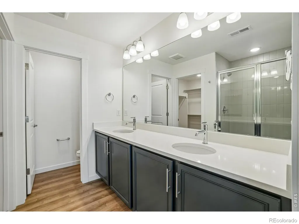 4516 Burl Street Timnath CO 80547